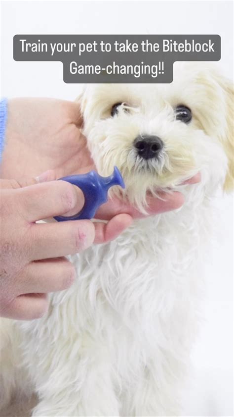pawmanaga|PawRead.com .